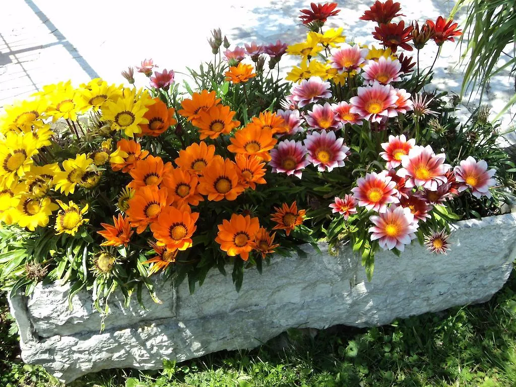 Bed & Breakfast Giardini Di Corte Toscolano Maderno 3*,  Italy